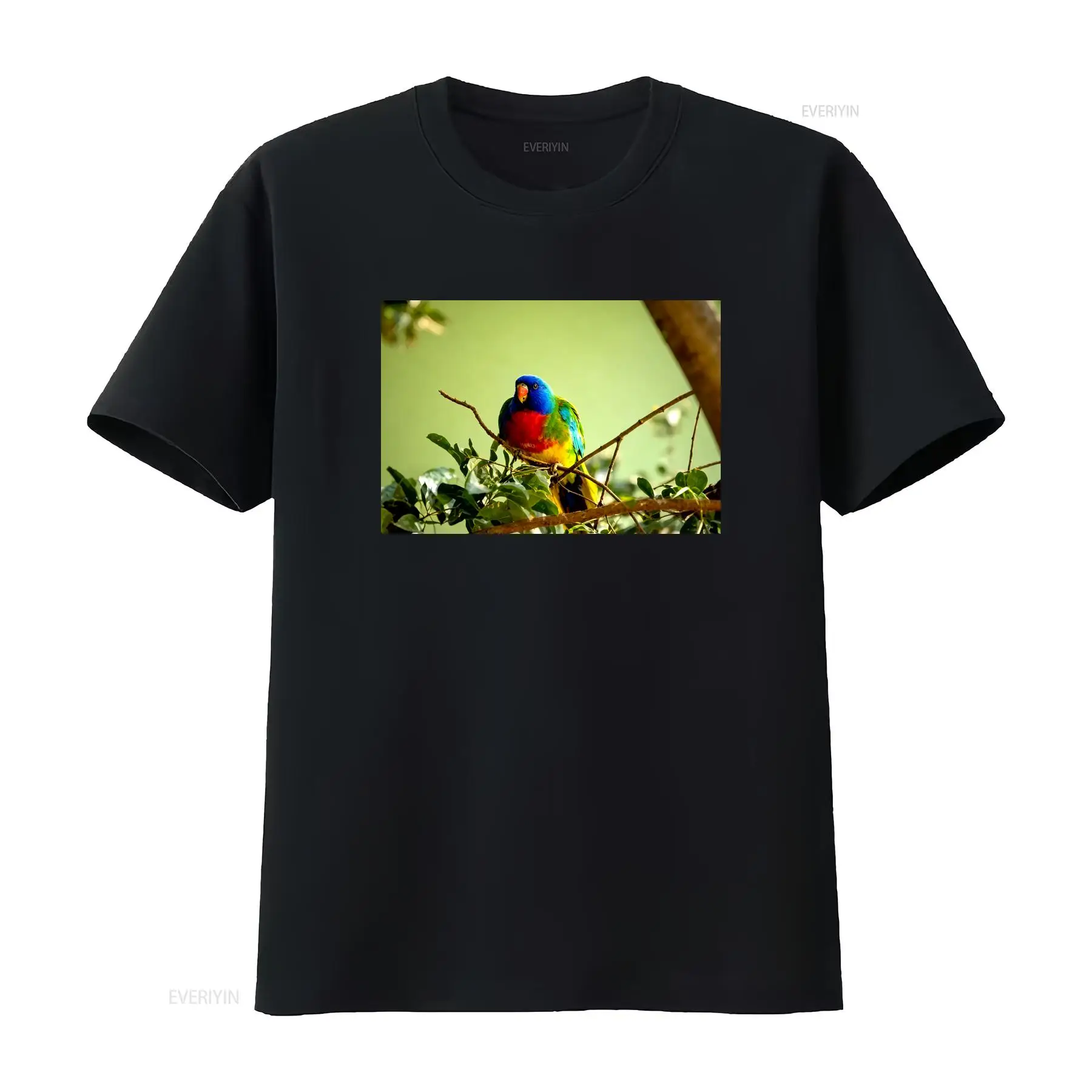 Scarlet Chested Parrot Made in - огляд і ціна Vintage Fashion Australia