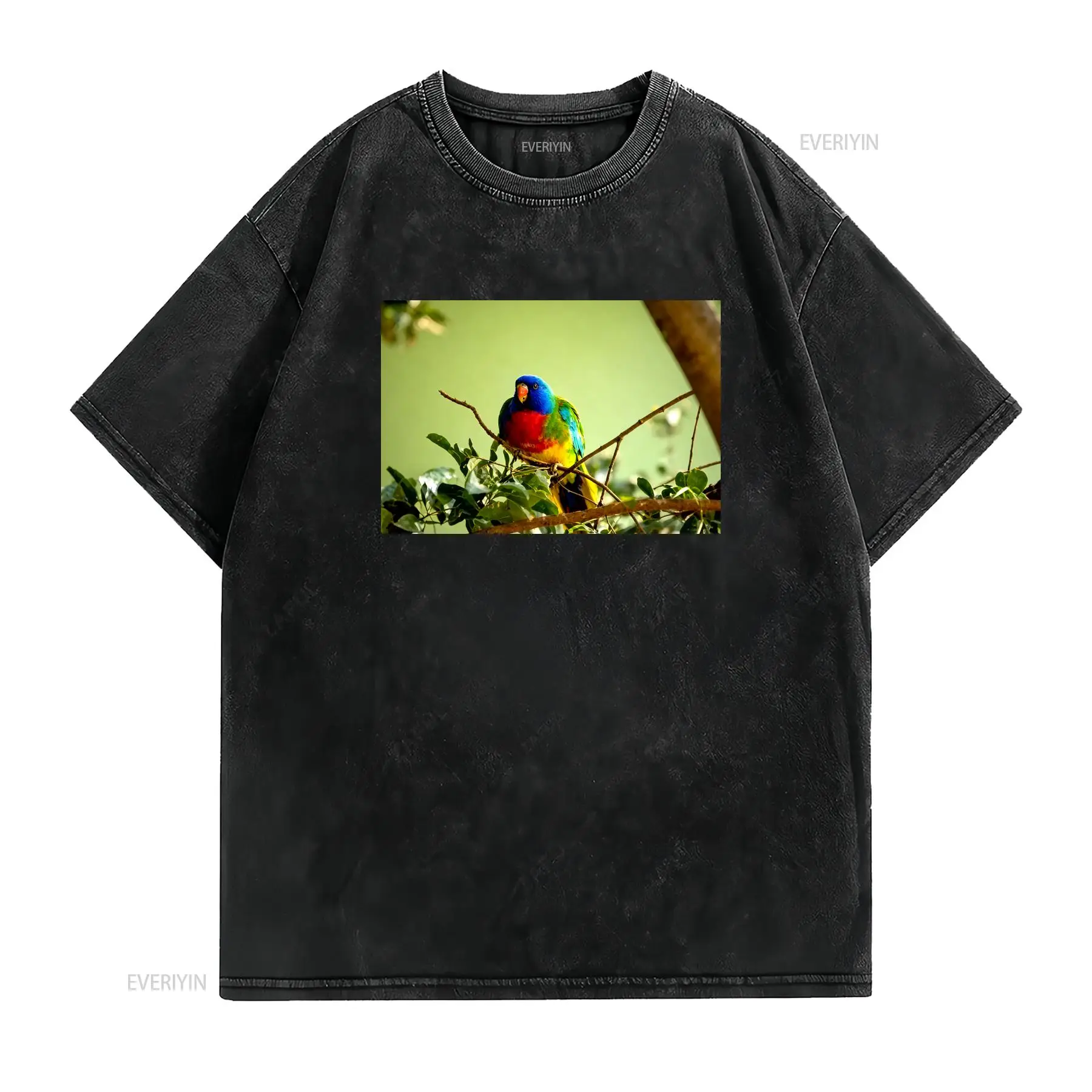 Scarlet Chested Parrot Made in - огляд і ціна Vintage Fashion Australia