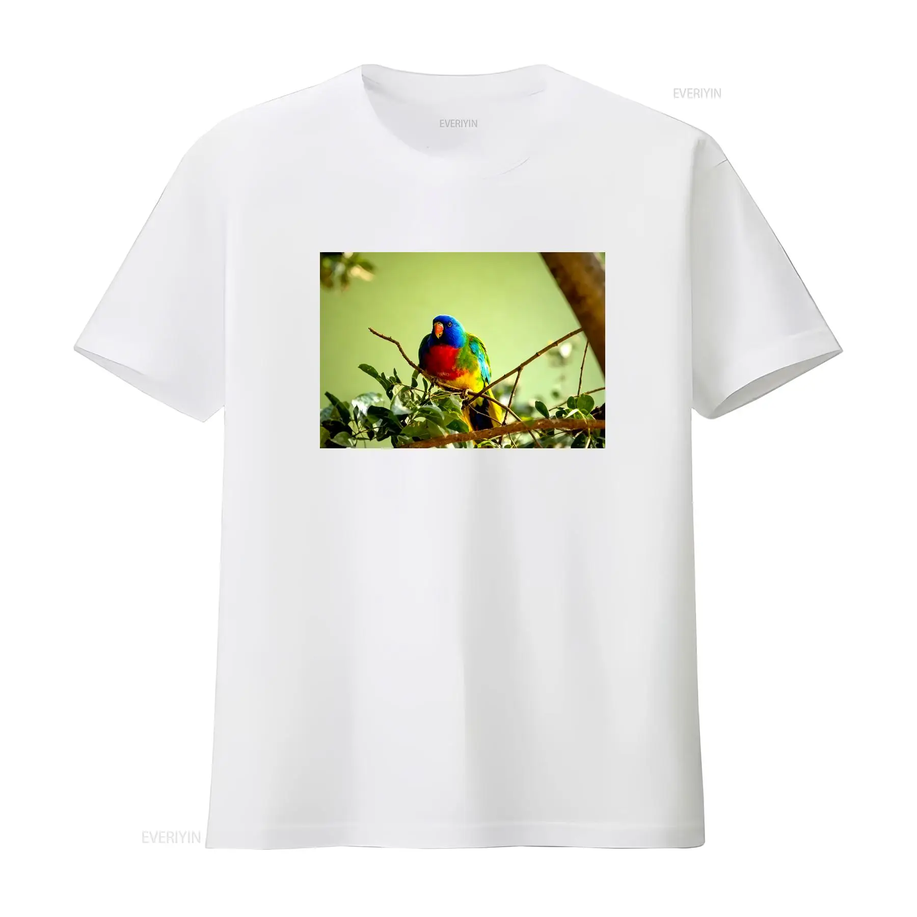 Scarlet Chested Parrot Made in - огляд і ціна Vintage Fashion Australia