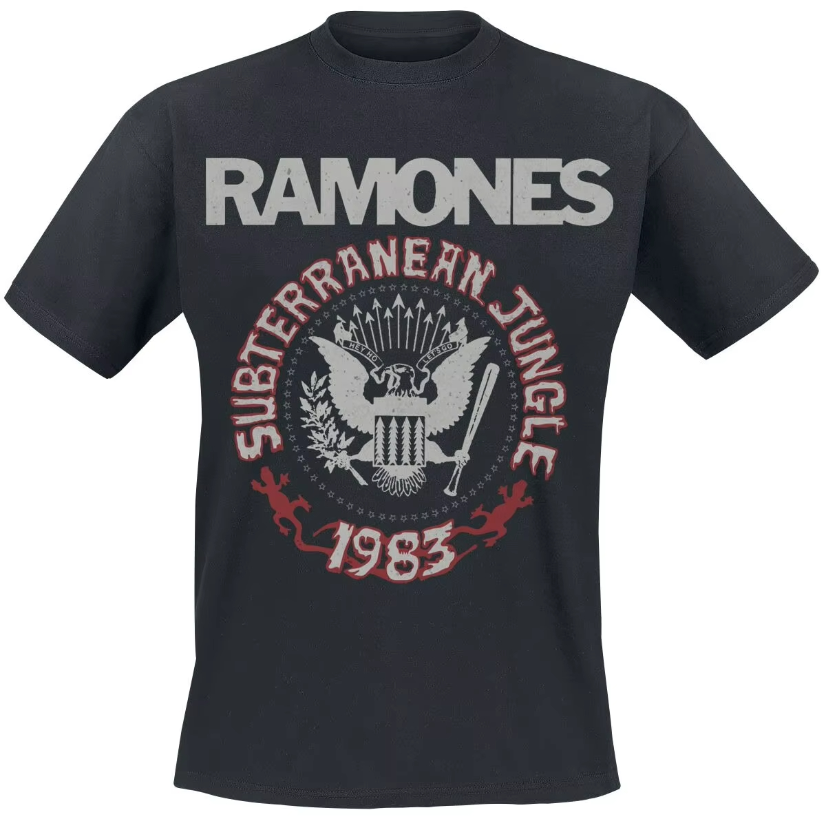 2026 Ramones Rock N Roll High  - огляд і ціна Vintage Fashion Nyc